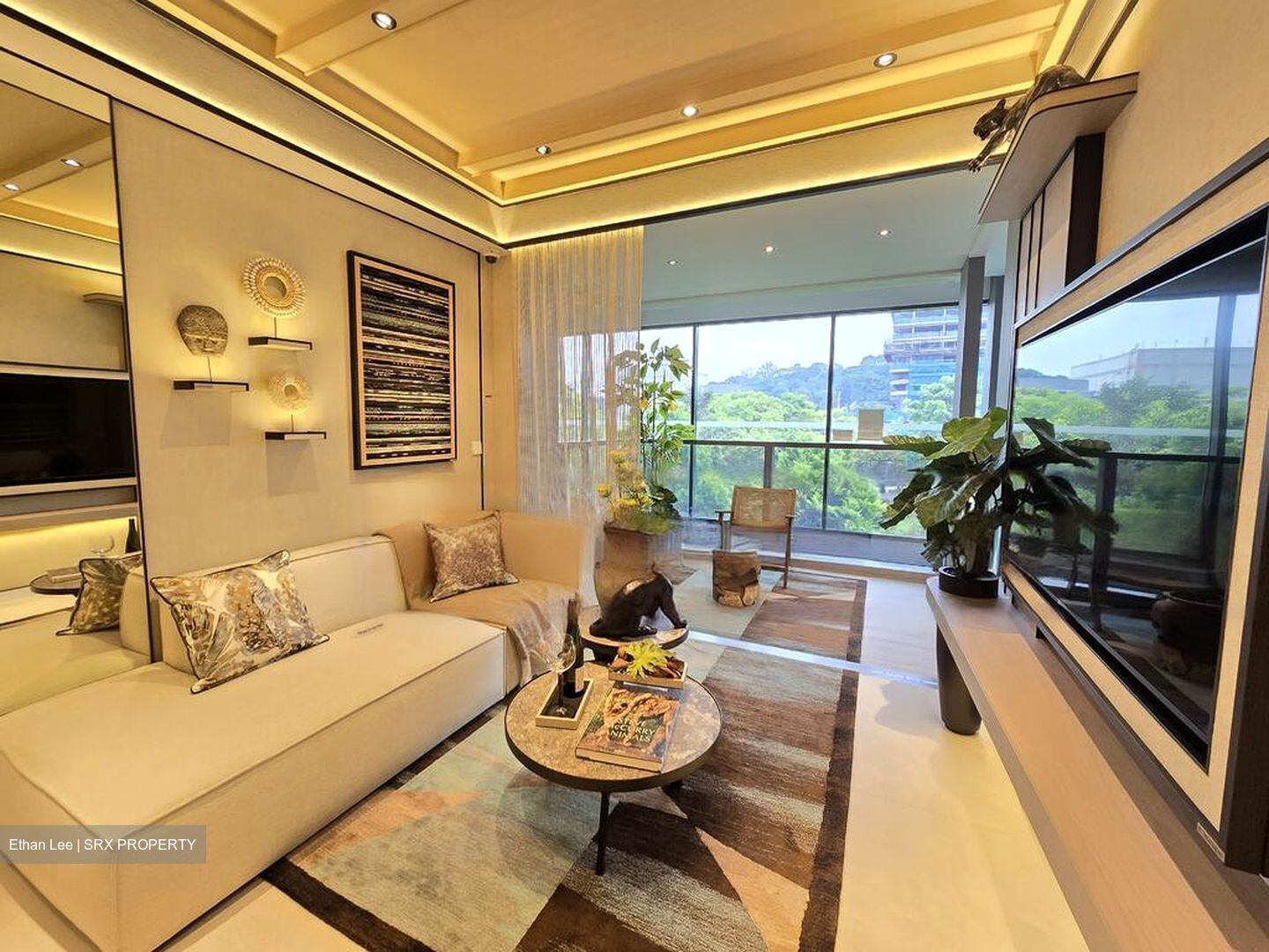 Havelock Road (D1), Apartment #462850051